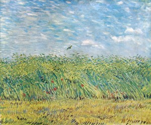 Vincent van Gogh: Limitare di un campo di grano, Amsterdam Rijksmuseum V. V. G.
